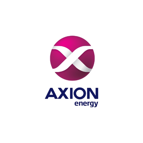 Axion